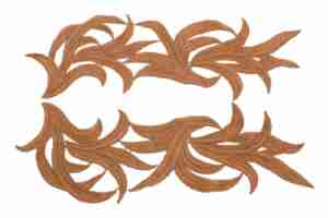 Motyw Gipiurowy Lily Chocolate