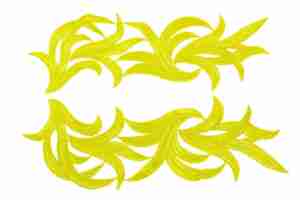 Motyw Gipiurowy Lily Citrine