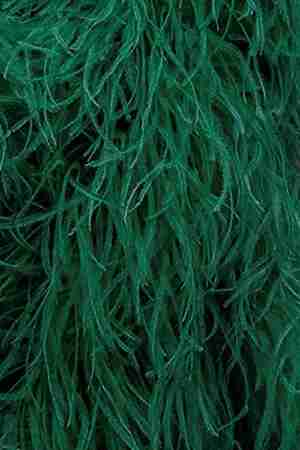 Pióra Strusie Na Taśmie 2 ply Dark Emerald