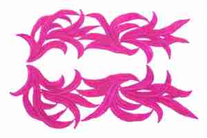 Motyw Gipiurowy Lily Fuchsia
