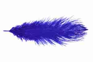 Ostrich Feather Sapphire