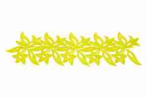 Orchid Guipure Ribbon Citrine