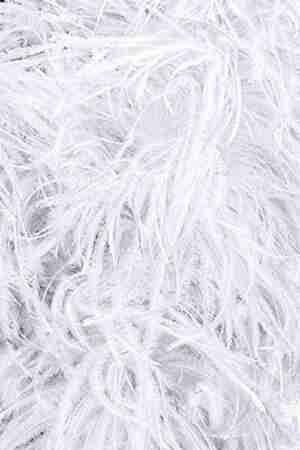 Pióra Strusie Na Taśmie 2 ply White