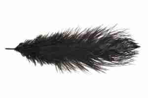 Single ostrich feathers