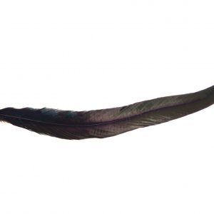 Pióro Kogucie 30-35 cm - Kolor Na Zamówienie