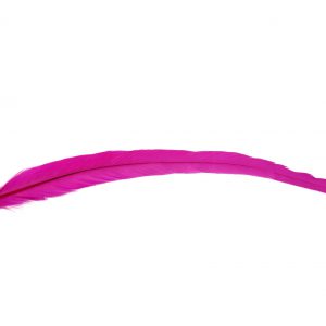 Pióro Kogucie Fuchsia
