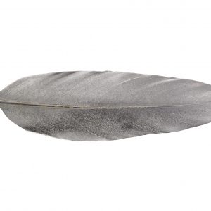 Pióro Gołębie Silver