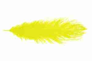 Ostrich Feather Citrine