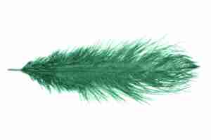 Ostrich Feather Dark Emerald
