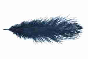 Ostrich Feather Ink