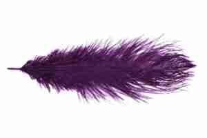 Pióro Strusie Amethyst