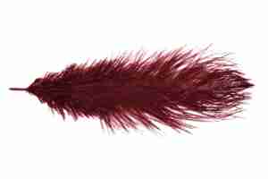 Ostrich Feather Cabernet Red